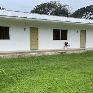 Summer Room B